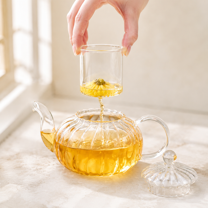 Glass Tea Pot with Infuser and Lid (20oz)